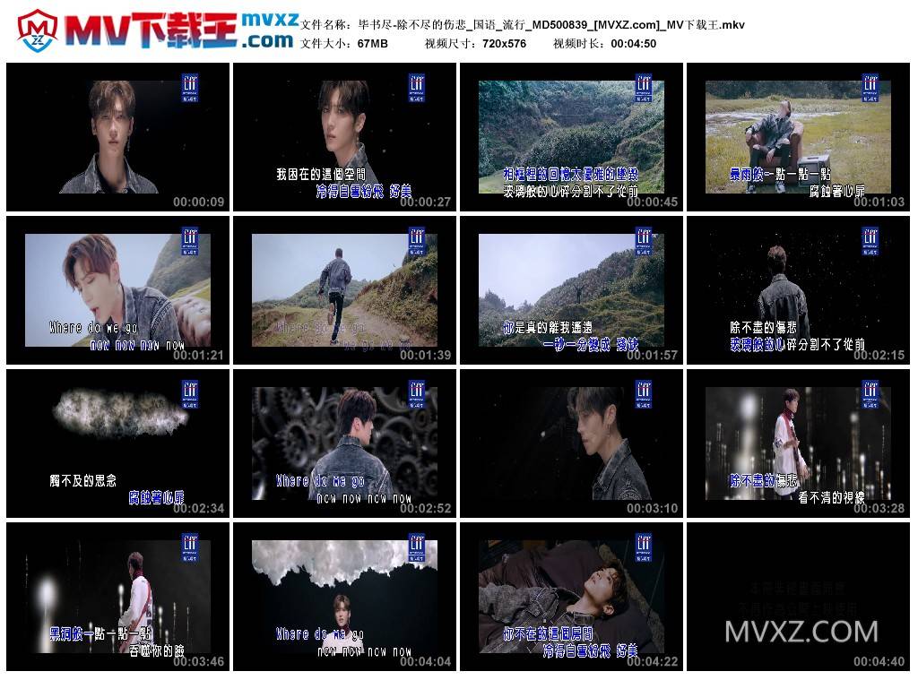 毕书尽-除不尽的伤悲_国语_流行_MD500839